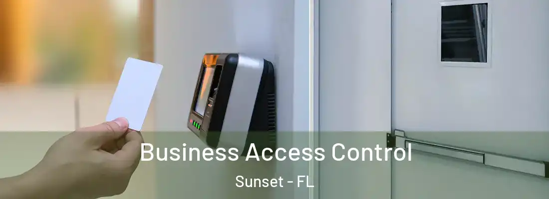 Business Access Control Sunset - FL