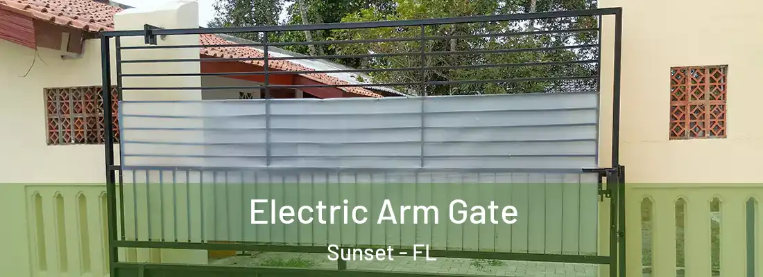 Electric Arm Gate Sunset - FL