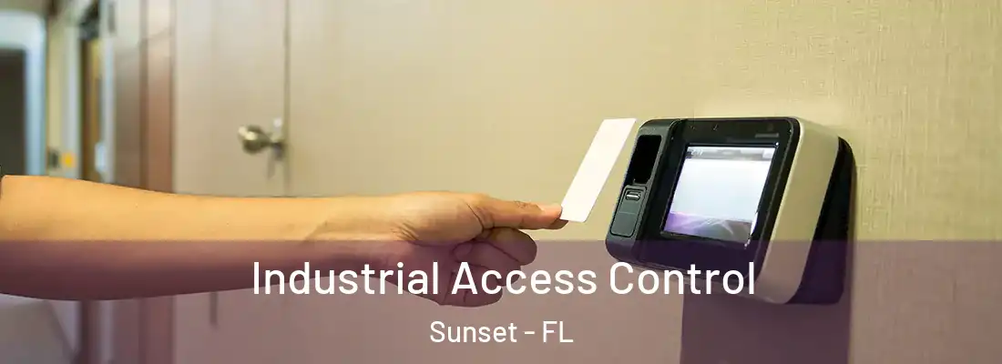Industrial Access Control Sunset - FL