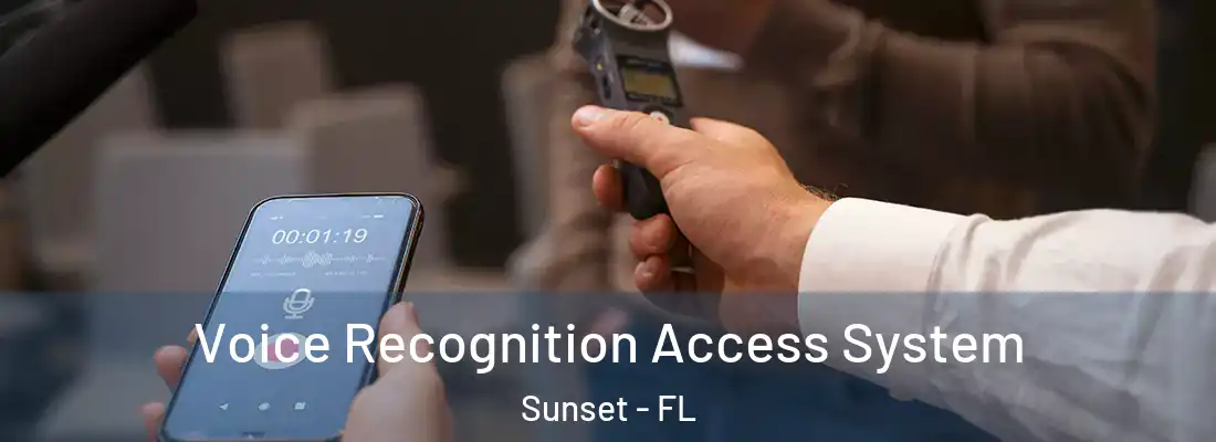 Voice Recognition Access System Sunset - FL